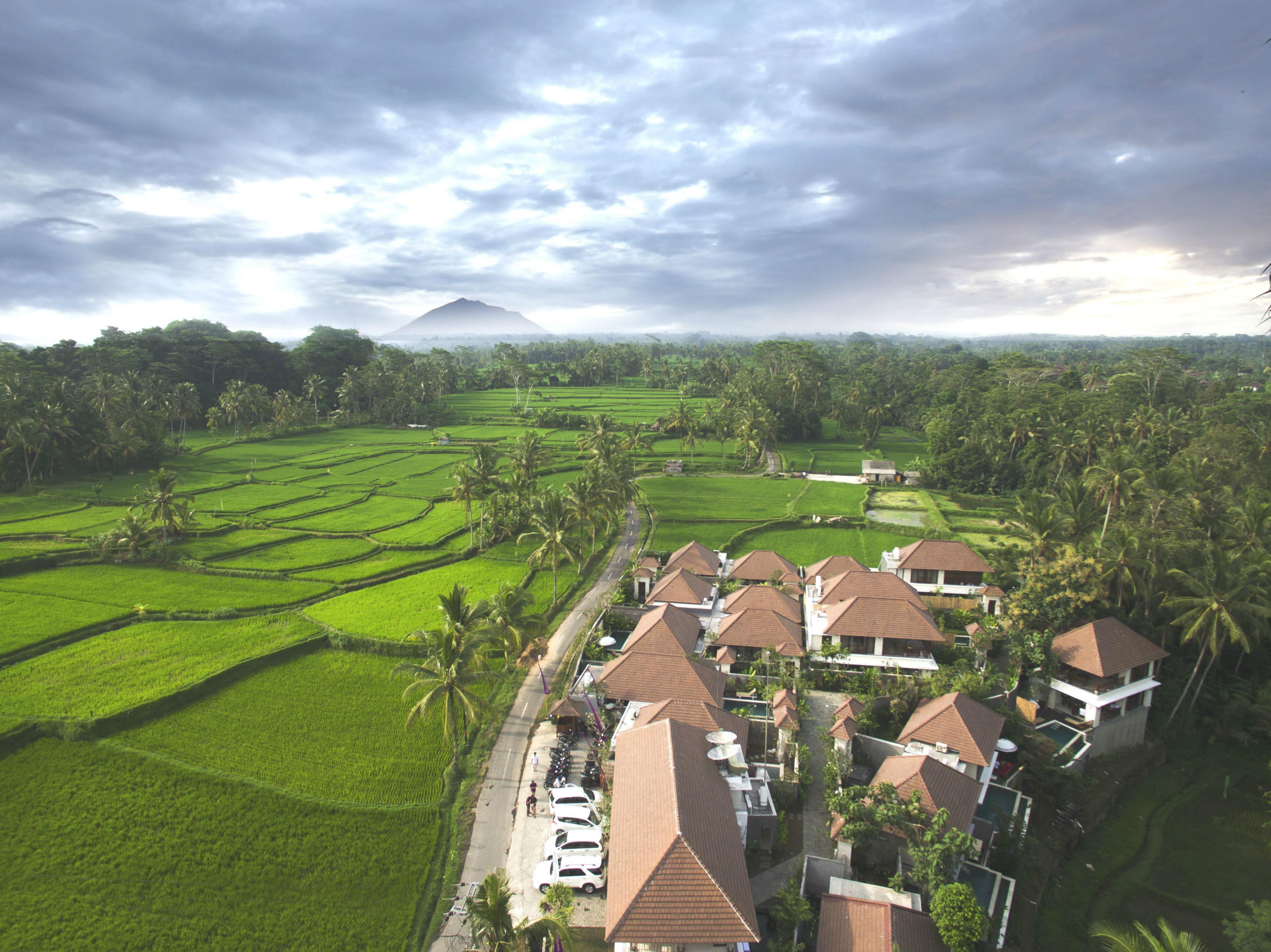 Dedary Resort & Spa Ubud By Ini Vie Hospitality Exteriör bild