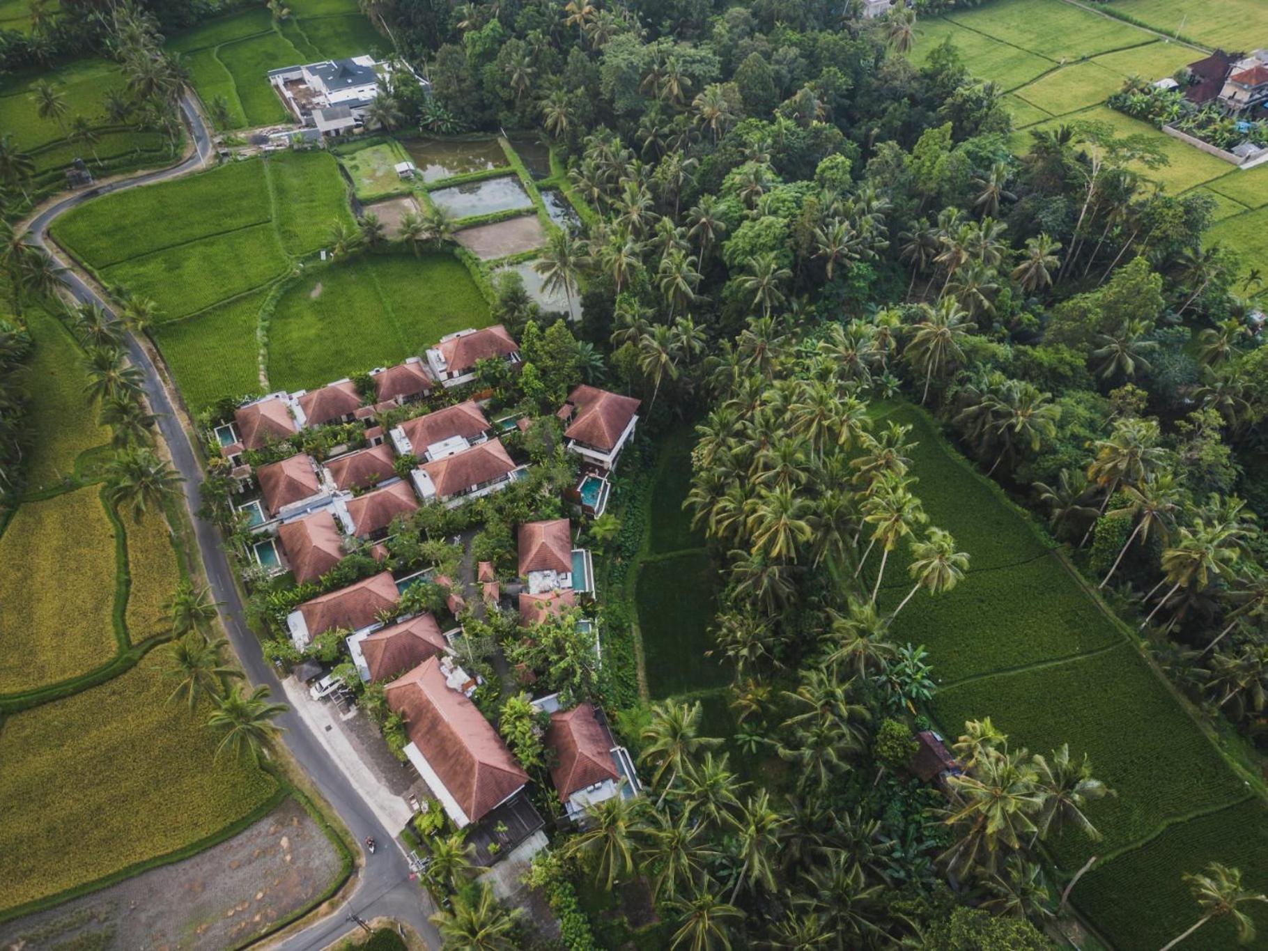 Dedary Resort & Spa Ubud By Ini Vie Hospitality Exteriör bild