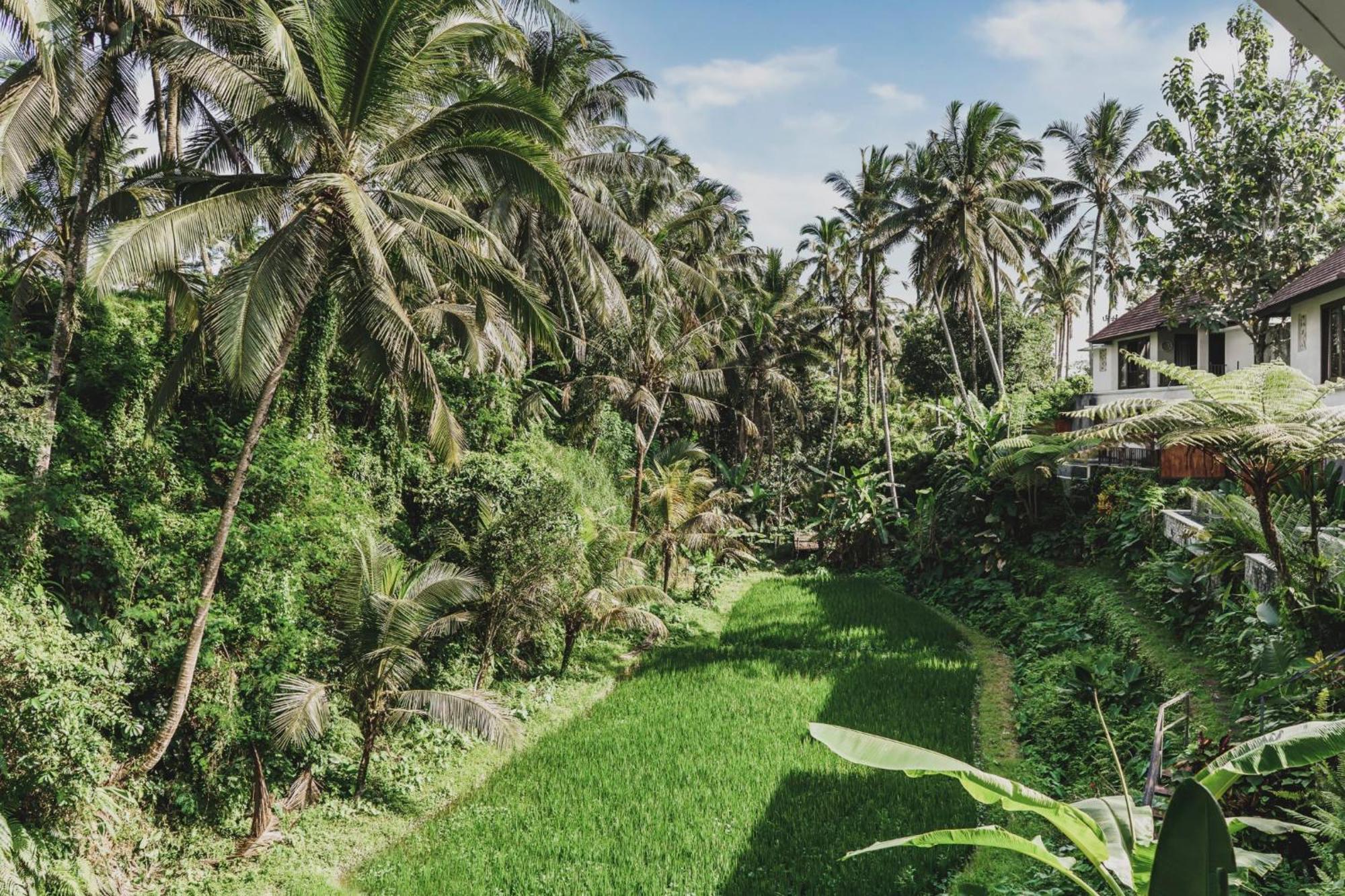 Dedary Resort & Spa Ubud By Ini Vie Hospitality Exteriör bild